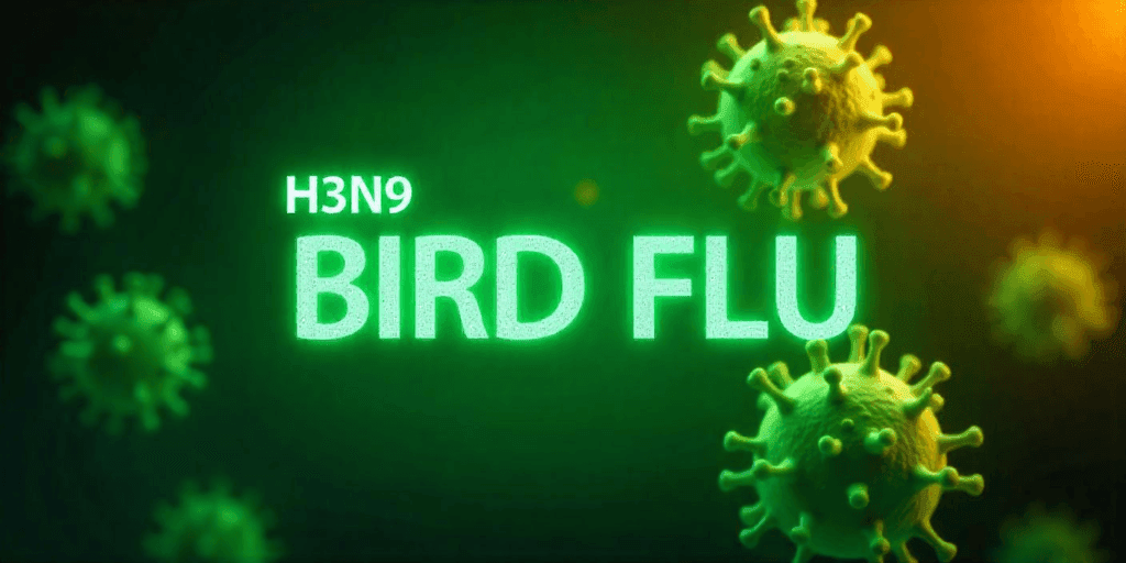 H5N9 Bird Flu Outbreak: Everything You Need to Know 2 H5N9 Bird Flu Outbreak: Everything You Need to Know