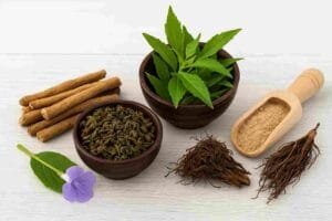 Fitness 40 Proven Ayurvedic Remedies That Instantly Crush Stress