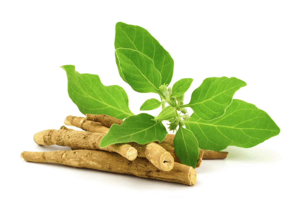 Proven Ayurvedic Remedies That Instantly Crush Stress 2 Proven Ayurvedic Remedies That Instantly Crush Stress