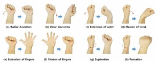 Wrist & Finger Stretches (For Typists & Gamers)