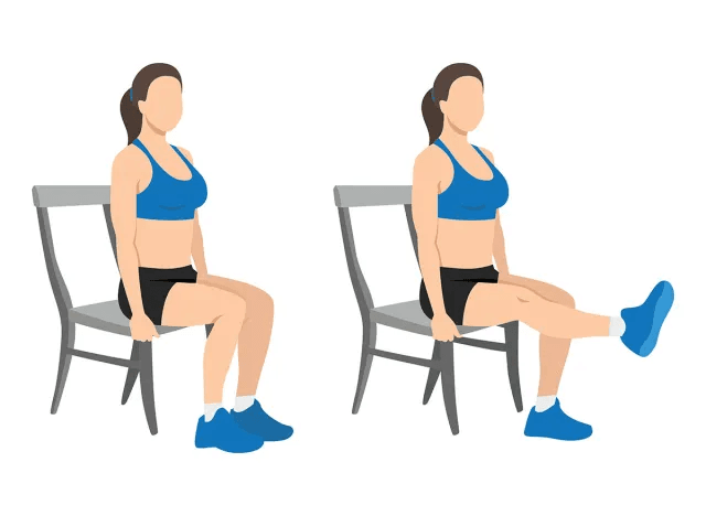 Seated Leg Extensions (Quads & Core)